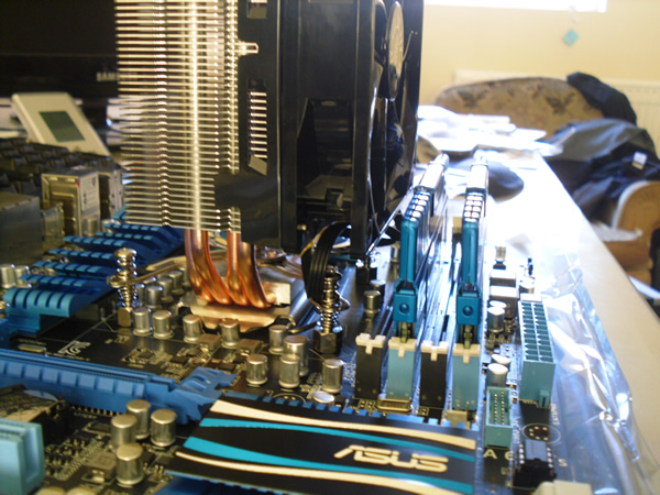 SDC14294-2 Ram by cooler